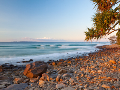 Image showing trees, rocks and beach at Noosa