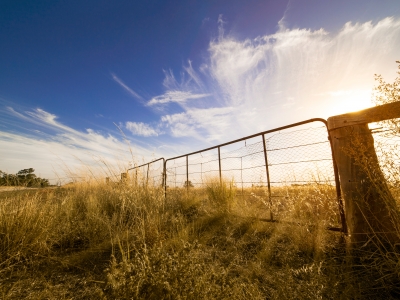 Image of a farm gate in a field