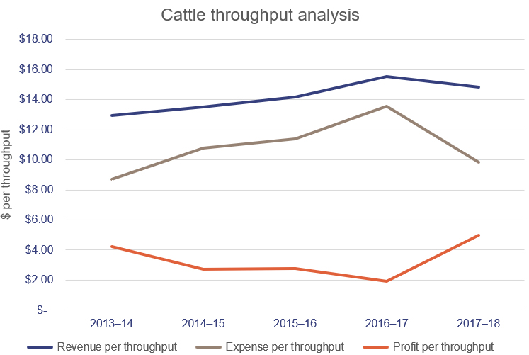 Cattle throughput analysis