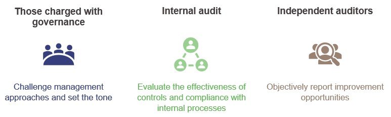 Figure 2B: Key elements of oversight functions