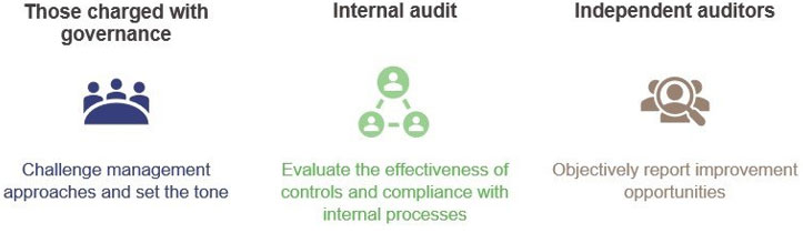 Figure 3A Key elements of oversight functions 