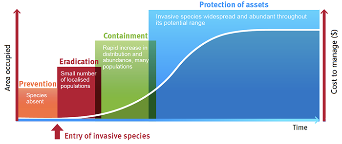 Managing invasive species_Figure 4D