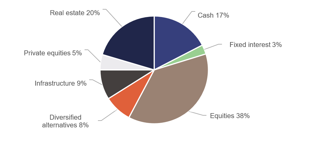 Pie chart of debt retirement fund asset allocation