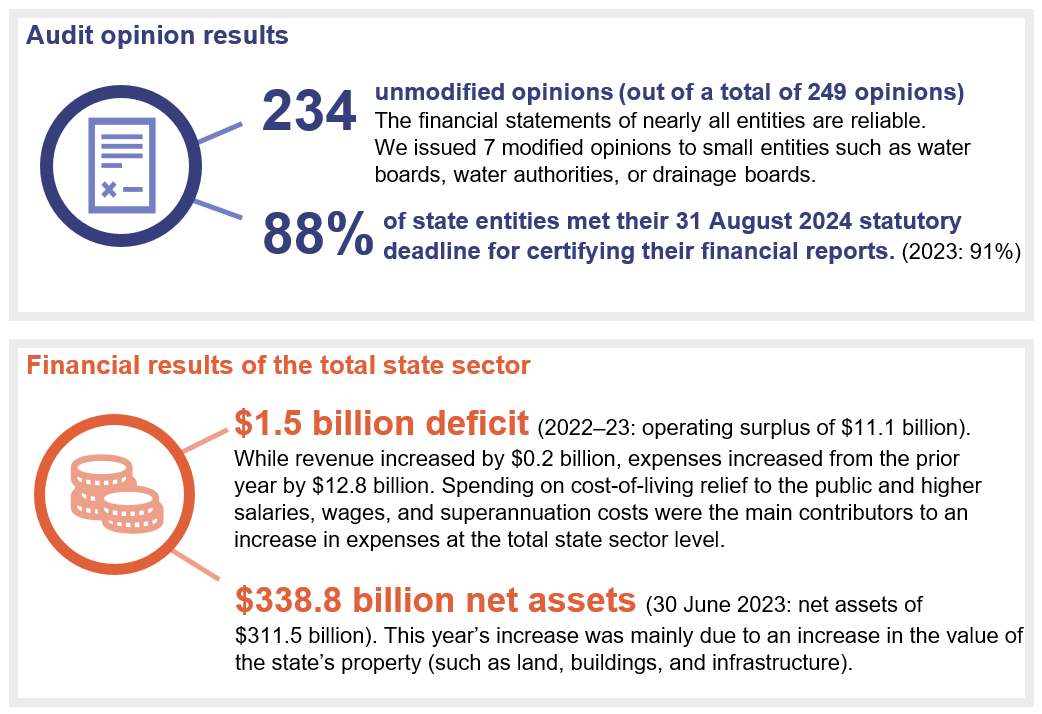 Chapter snapshot showing audit opinion results