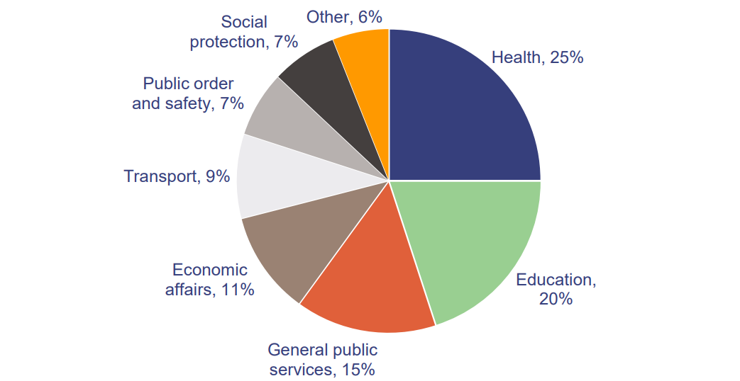 Pie chart showing the composition of expenses by function in 2018–19