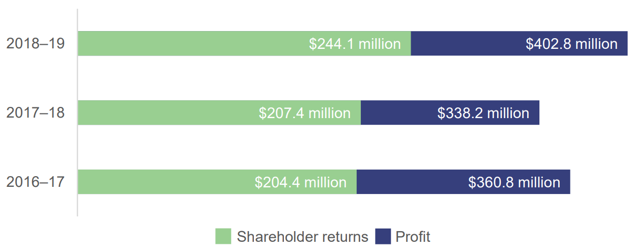 Bar chart showing: In 2018-19 shareholder returns $244.1m and profit $402.8m; In 2017-18 shareholder returns $207.4m and profit $338.2m; In 2016-17 shareholder returns $204.4m and profit $360.8m
