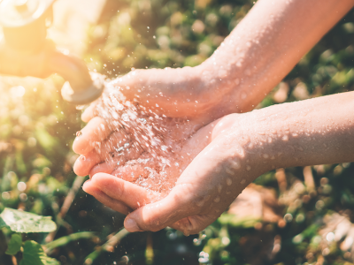 A person cupping water in their hands from a tap outdoors