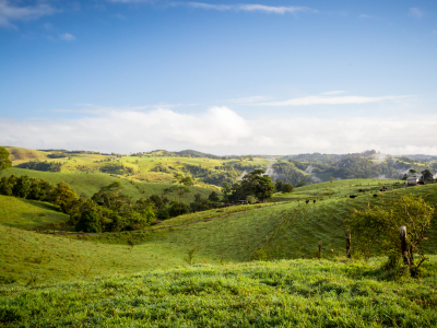 Landscape image showing the hills and skyline of the Atherton Tablelands