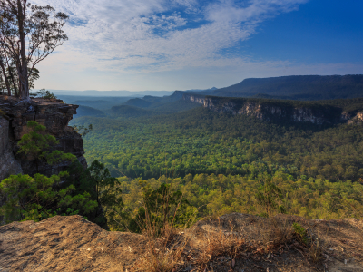 Landscape image showing Carnarvon Gorge