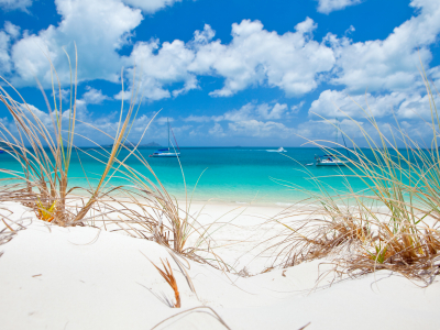 Image showing the sand and water of Whitehaven Beach in the Whitsundays