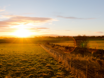 Image of farm paddocks at sunset, with a fence down the middle