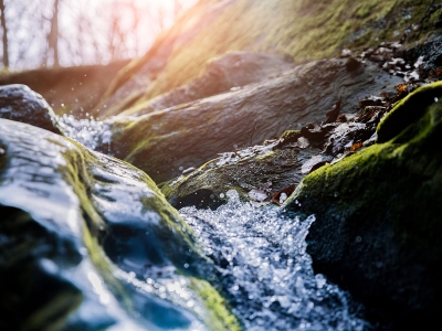 Nature image with water tumbling down a small waterfall between rocks covered in moss