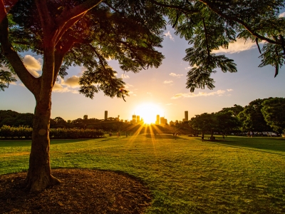 Image of sunset from New Farm Park, Brisbane