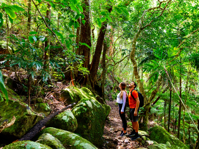 Image of two people bushwalking in Lamington National Park in Queensland.