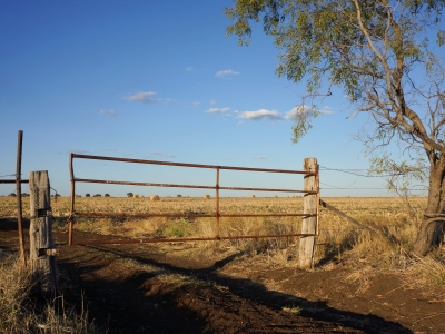 Blog thumbnail: Rustic farm gate with track