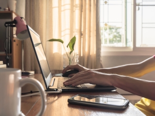 Person sitting at their desk at home working