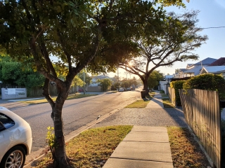 Image of a residential street in Queensland, showing cars, road, footpath, garbage bin, and houses.