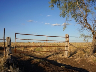 Blog thumbnail: Rustic farm gate with track