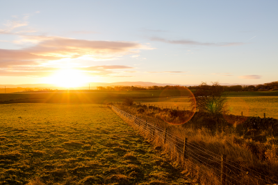 Image of farm paddocks at sunset, with a fence down the middle