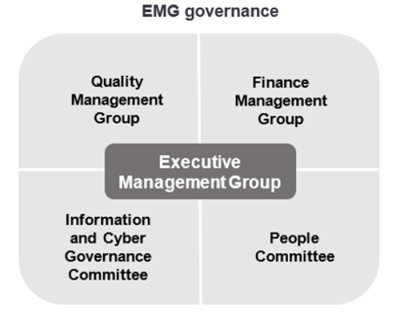 EMG governance