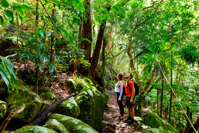 Image of two people bushwalking in Lamington National Park in Queensland.