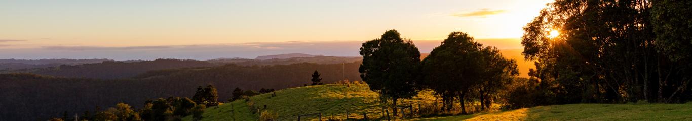 Sunrise at Gold Coast hinterland