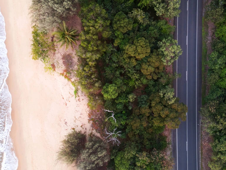 road, beach and trees 