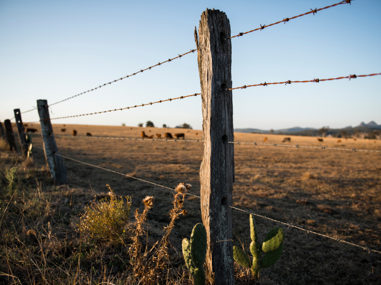 Fence