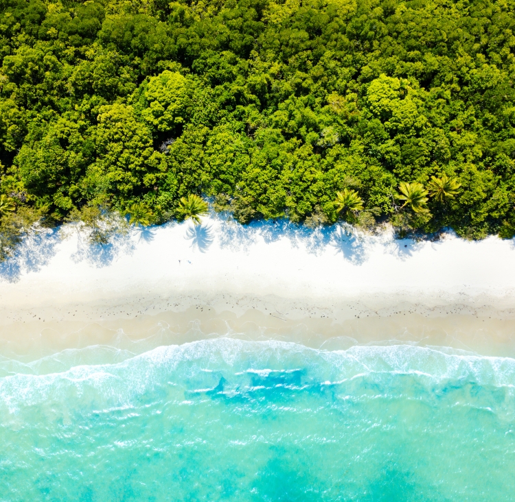 Beach meets rainforest Queensland