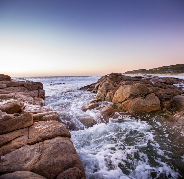 rock pool 