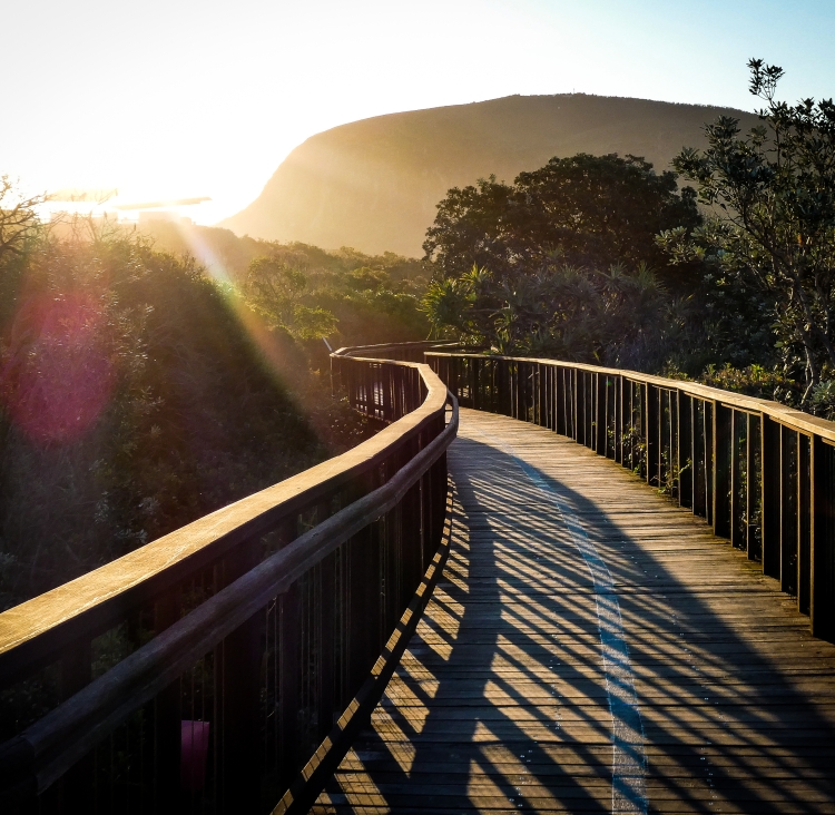 Boardwalk at sunset